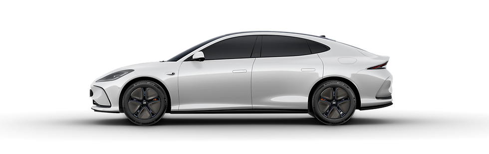 5white (5).png